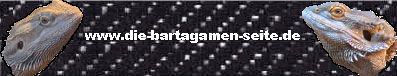 die bartagamenseite