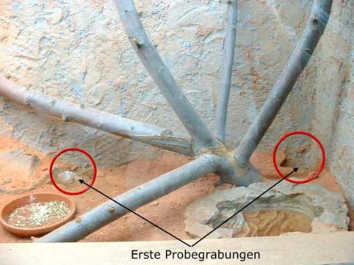 Probegrabung