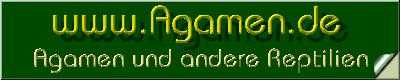 Agamen.de