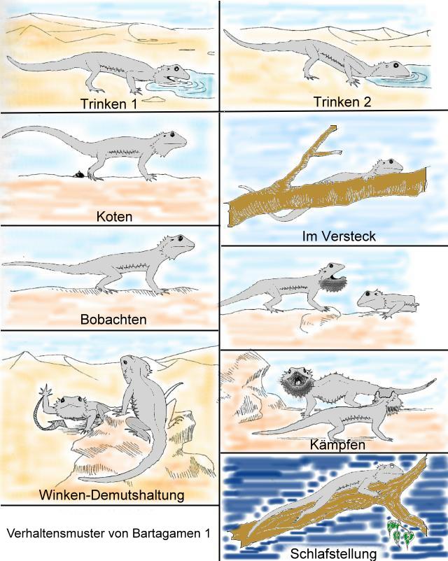 K&ouml;rpersprache