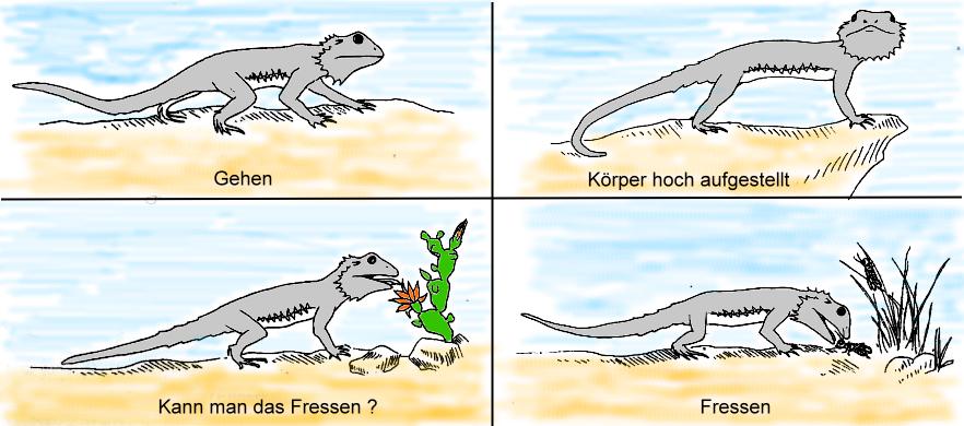 K&ouml;rpersprache