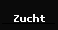 Zucht